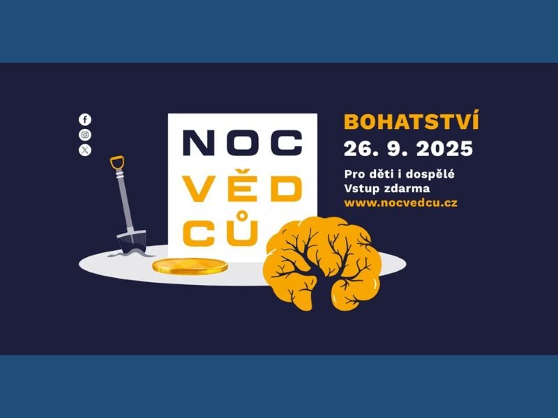 nocvedcu-25.jpg